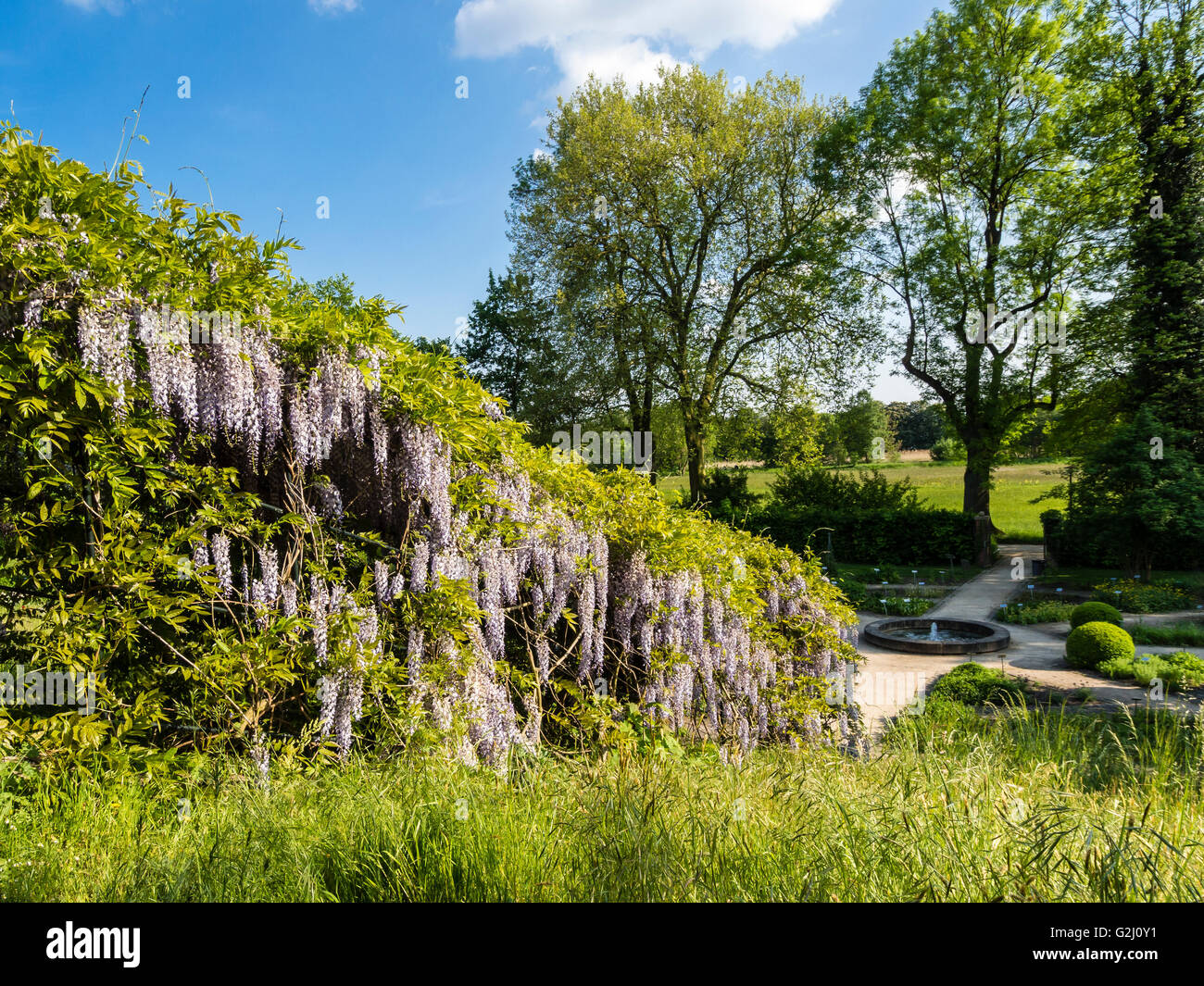 Heilpflanzengarten, herb garden, Celle, Germany Stock Photo