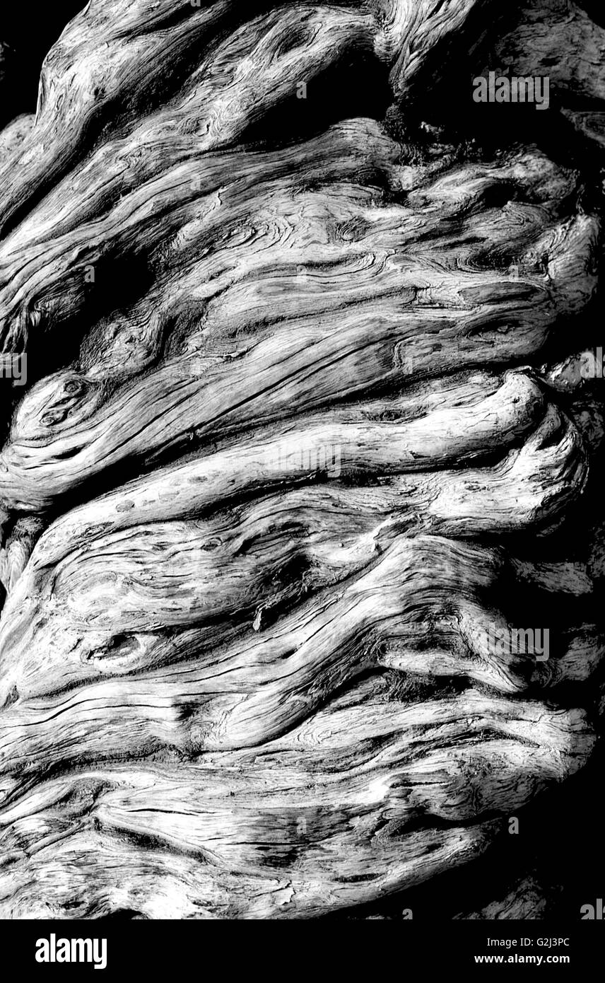 Wood texture nobody Black and White Stock Photos & Images - Alamy