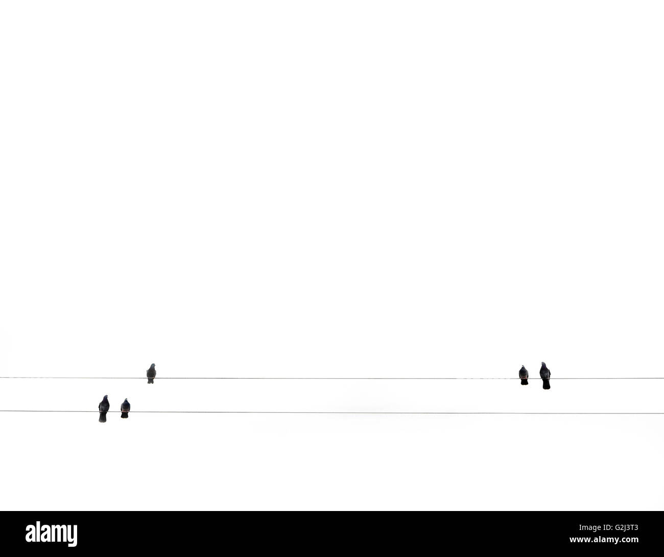 Birds on Parallel Wires Stock Photo Alamy