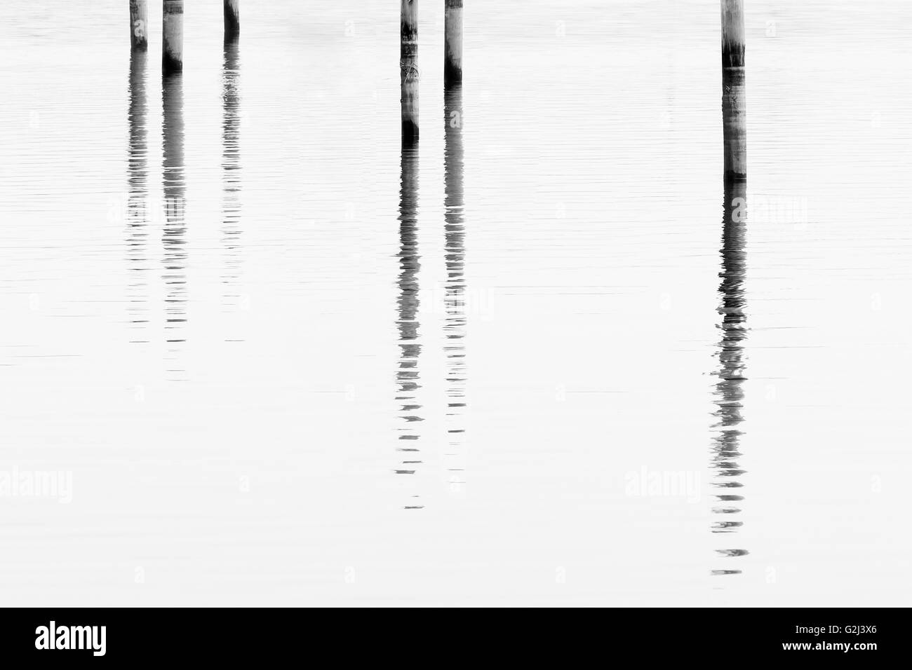 Dock Posts in Water With Reflection, Madison, Connecticut, USA Stock Photo