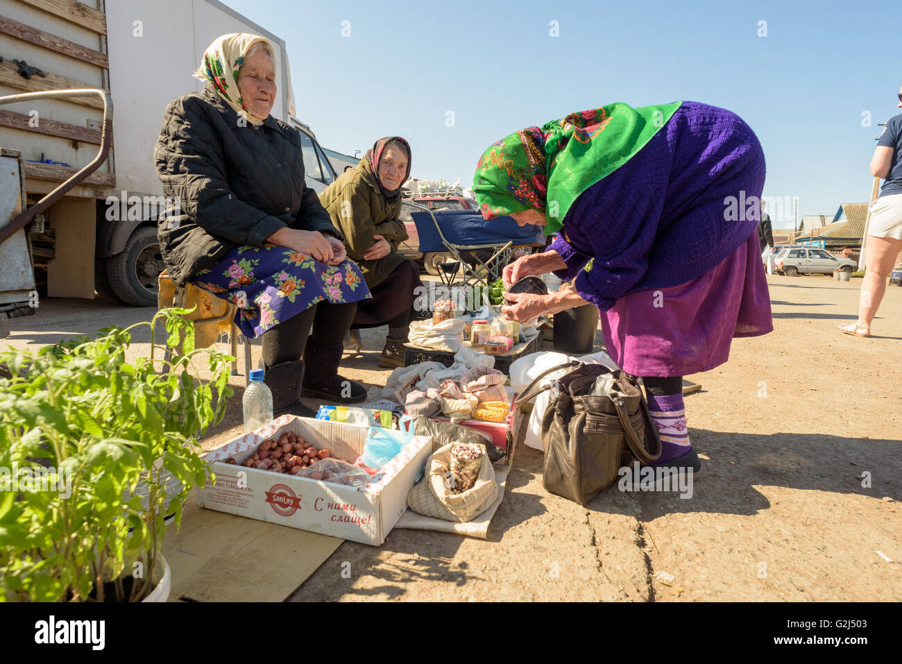 An old Russian Babushka searches her purse to buy produce from two old Russian women selling home-grown produce seeds and veg Stock Photo