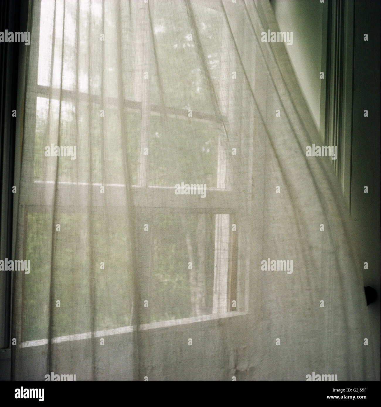 Window Curtains Blown by Breeze Stock Photo