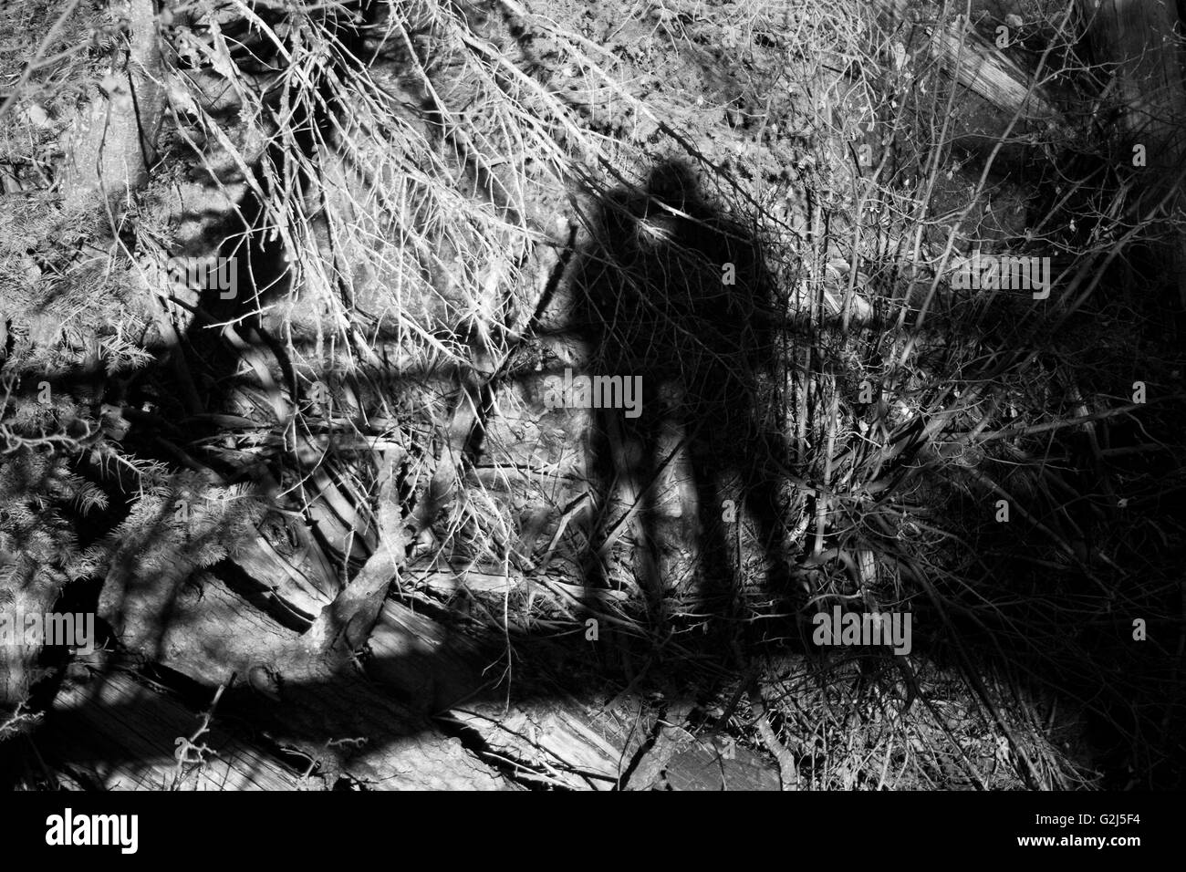 Shadow of Couple on Bridge at Night Stock Photo - Alamy