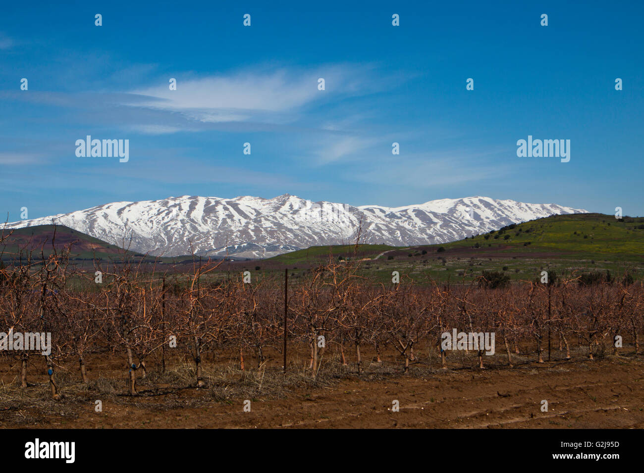 golan heights with hermon mountain covered with snow at the syrian ...