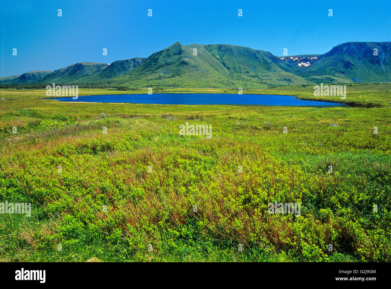Long Range Mountains Near Codroy Pond Newfoundland & Labrador Canada Stock Photo Alamy