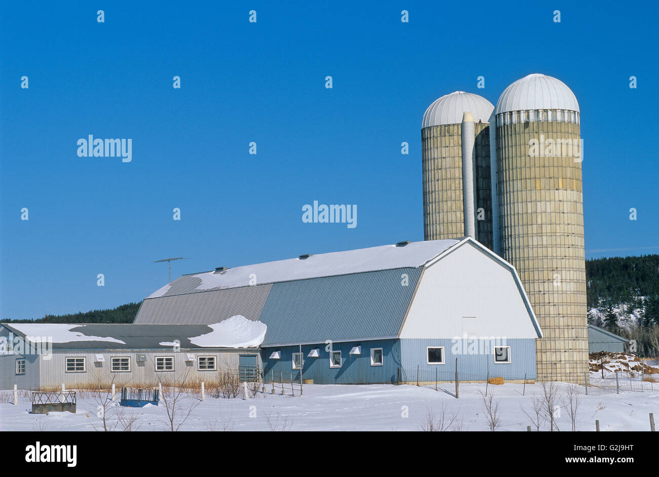 Barn and silo on dairy farm in winter Ville-Marie Quebec Canada Stock Photo