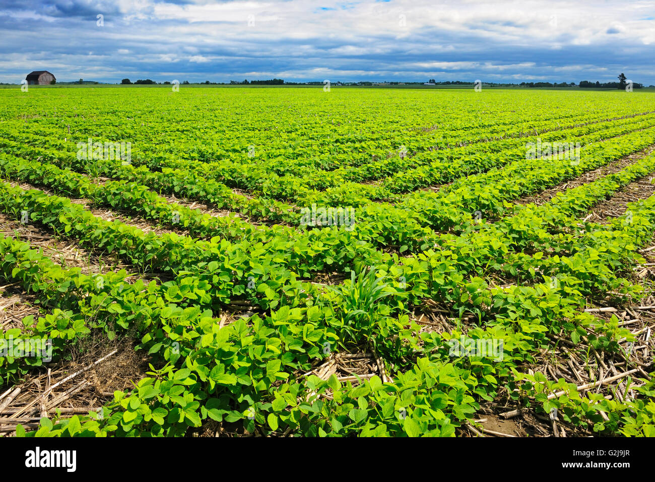 Pike river quebec hires stock photography and images Alamy