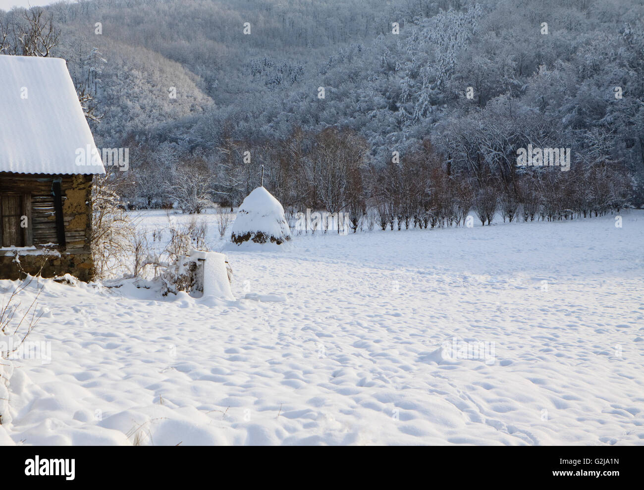 log cabin in the forest covered with fresh snow Stock Photo - Alamy