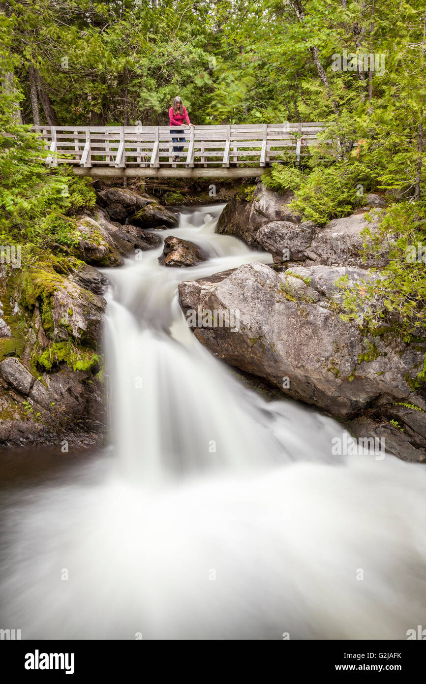 Hiking the Williams Falls Trail in Mount Carleton Provincial Park, New
