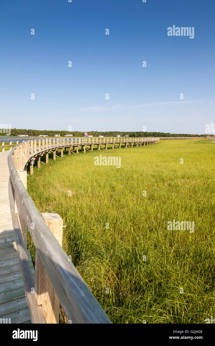 Boardwalk across the Bouctouche dunes at the Irving Ecocentre in Kent County, New Brunswick
