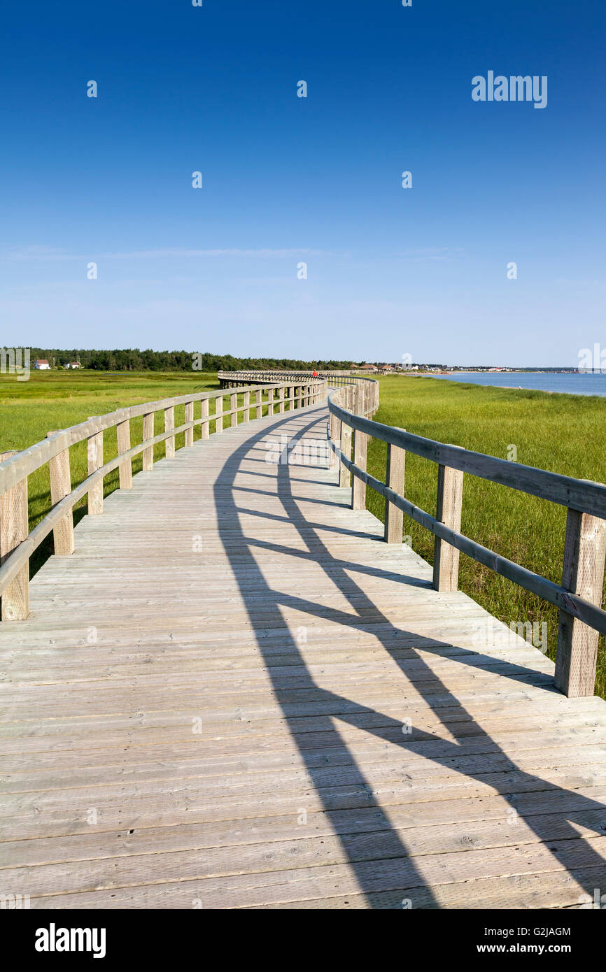 Boardwalk across the Bouctouche dunes at the Irving Ecocentre in Kent