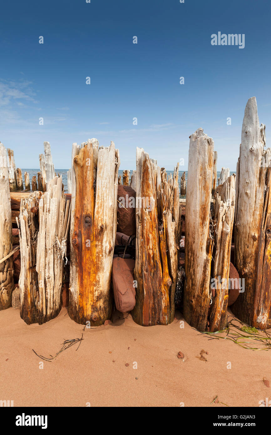 Remains of an old wharf at St. Peters Harbour on Prince Edward Island, Canada Stock Photo Alamy