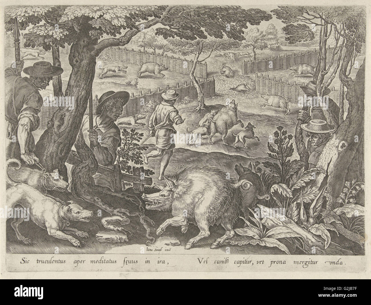 Hunting boar, Philips Galle, 1578 Stock Photo Alamy