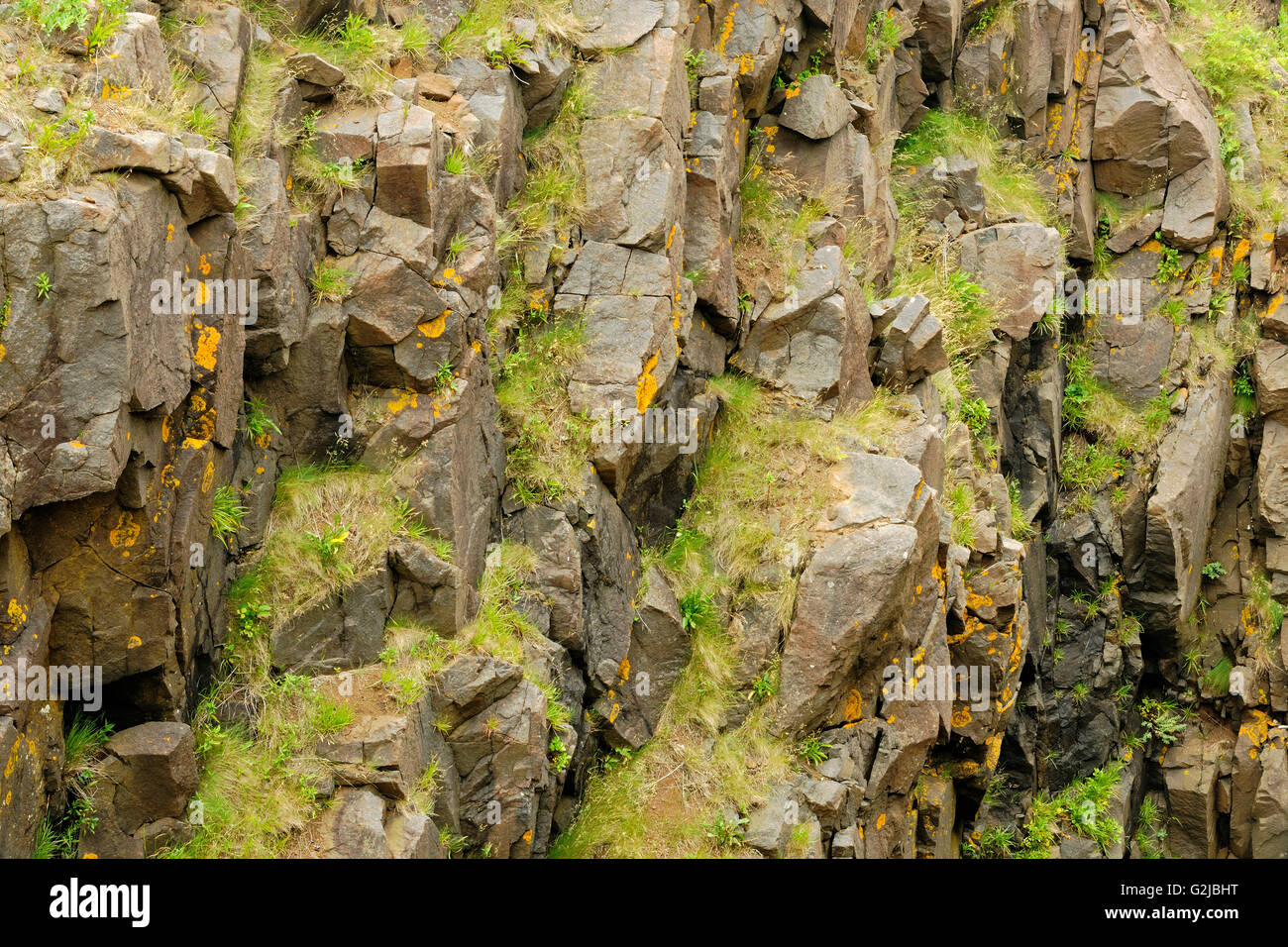 Rocks and grass, Grand Manan Island, New Brunswick, Canada Stock Photo