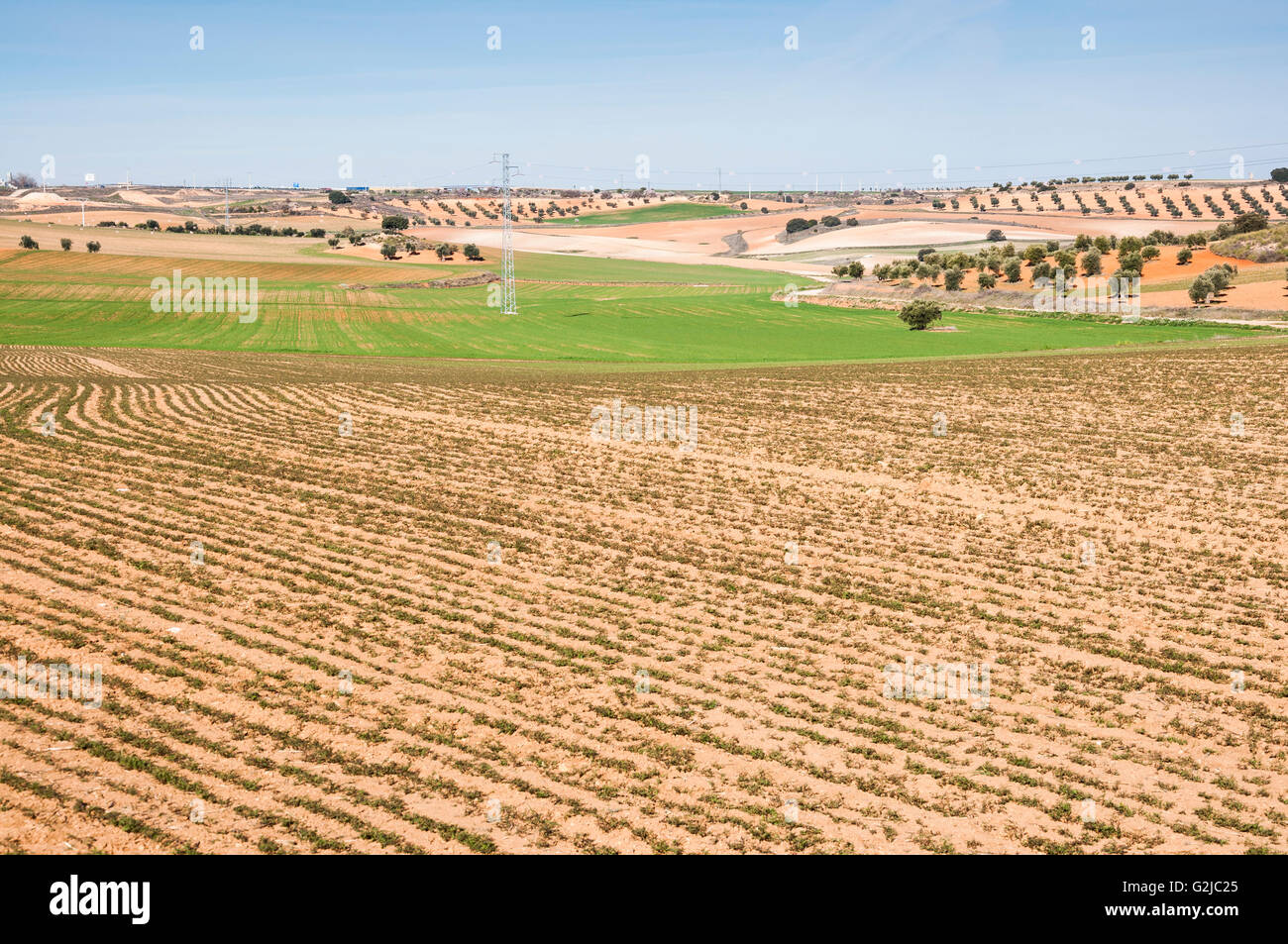 Agricultural mosaic landscape in Toledo Province, Spain Stock Photo