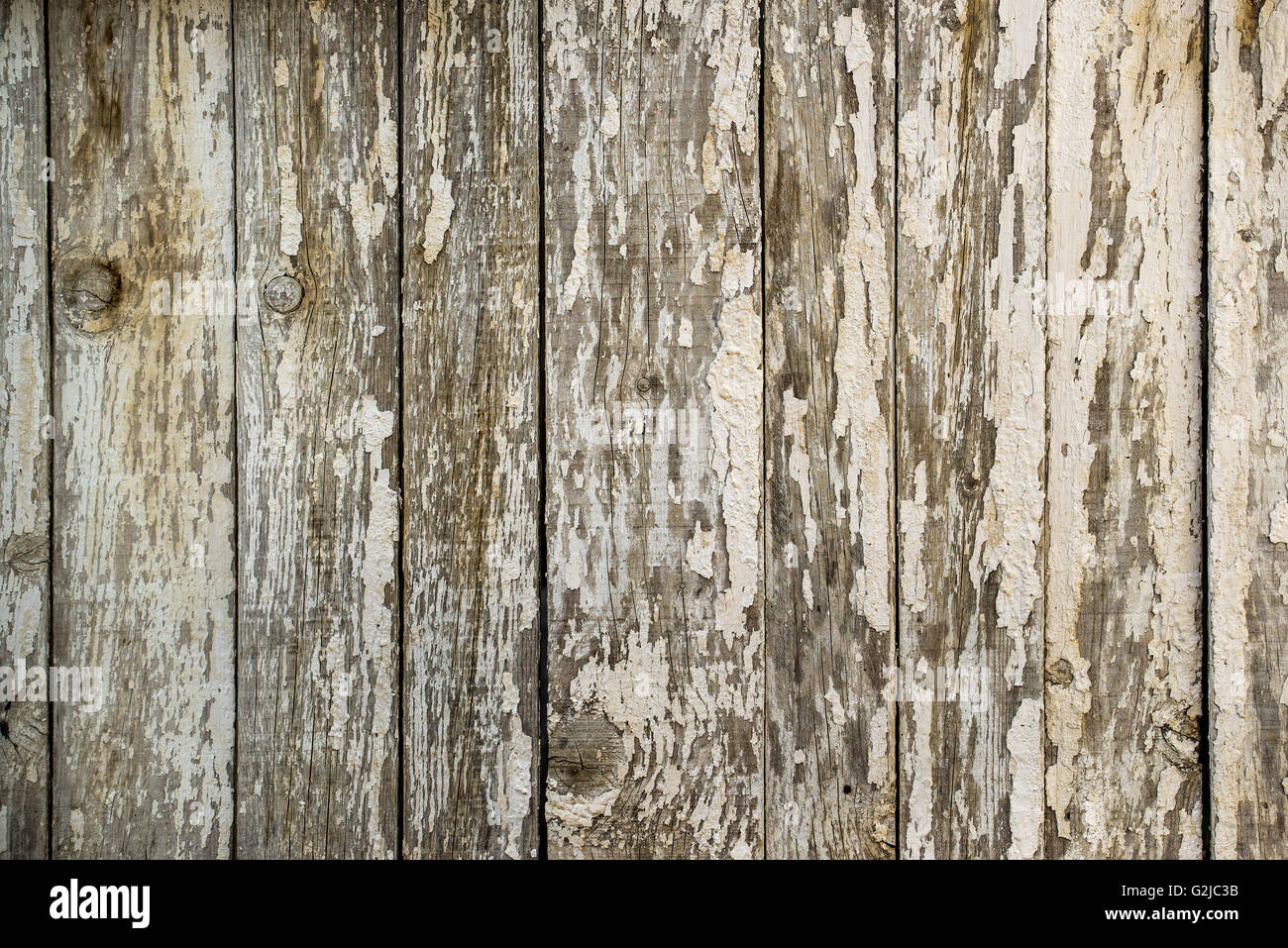 White paint peeling off the wooden wall, obsolete wood planks texture Stock Photo