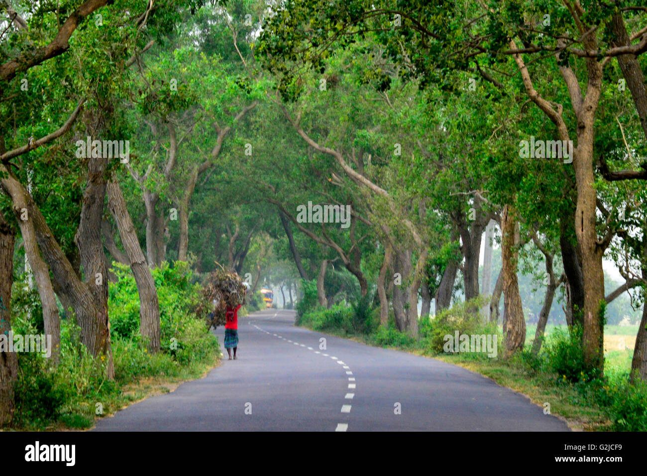 A street view of rural area in Bangladesh. Stock Photo