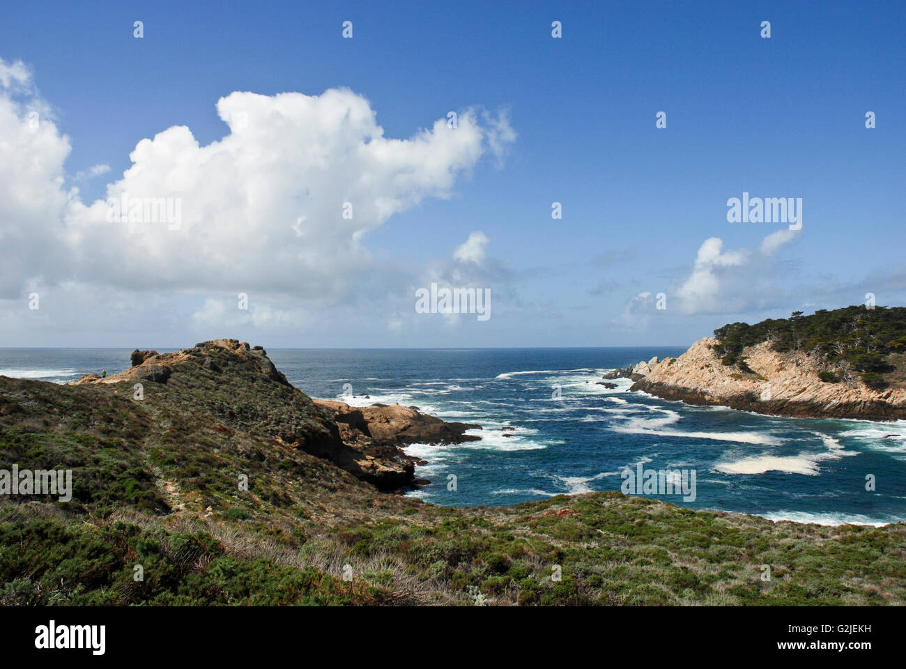 Point Lobos State Reserve, Caifornia, USA Stock Photo