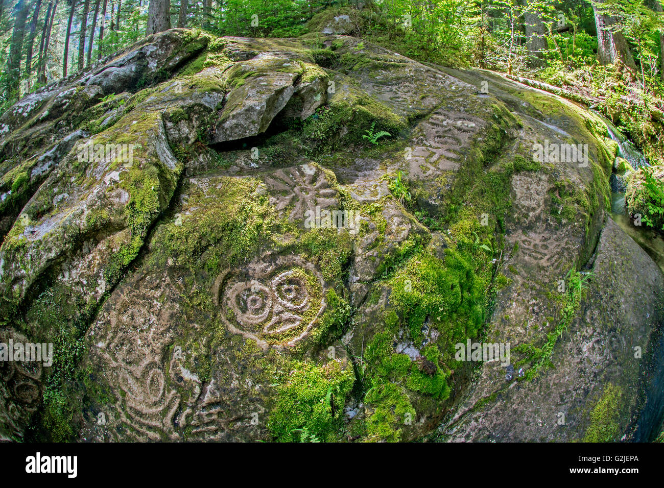 Nuxalk petroglyph, temperate rainforest, Bella Coola, coastal British Columbia Stock Photo