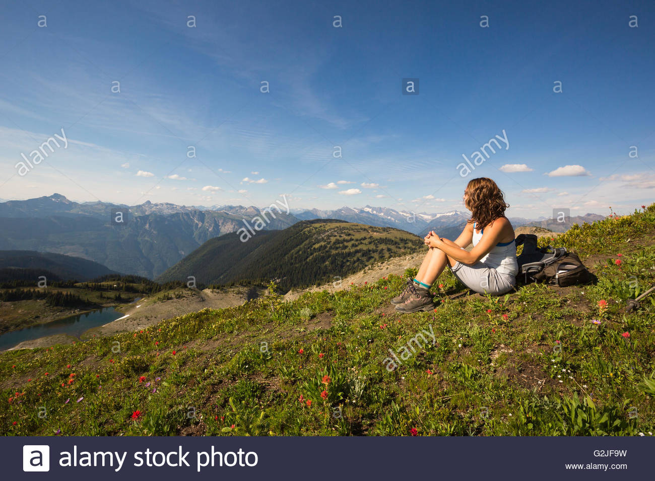 Female Hiker Sitting In Alpine Below The Summit Of Mt Mccrae Kootenay Region British Columbia Canada Female Hiker Sitting In Alpine Below The Summit Of Mt Mccrae Kootenay Region British Columbia Canada