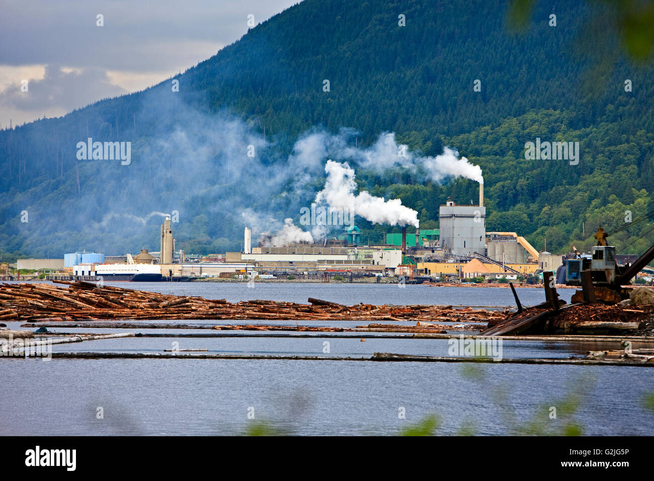 Pulp Mill, Port Alice, Northern Vancouver Island, Vancouver, British