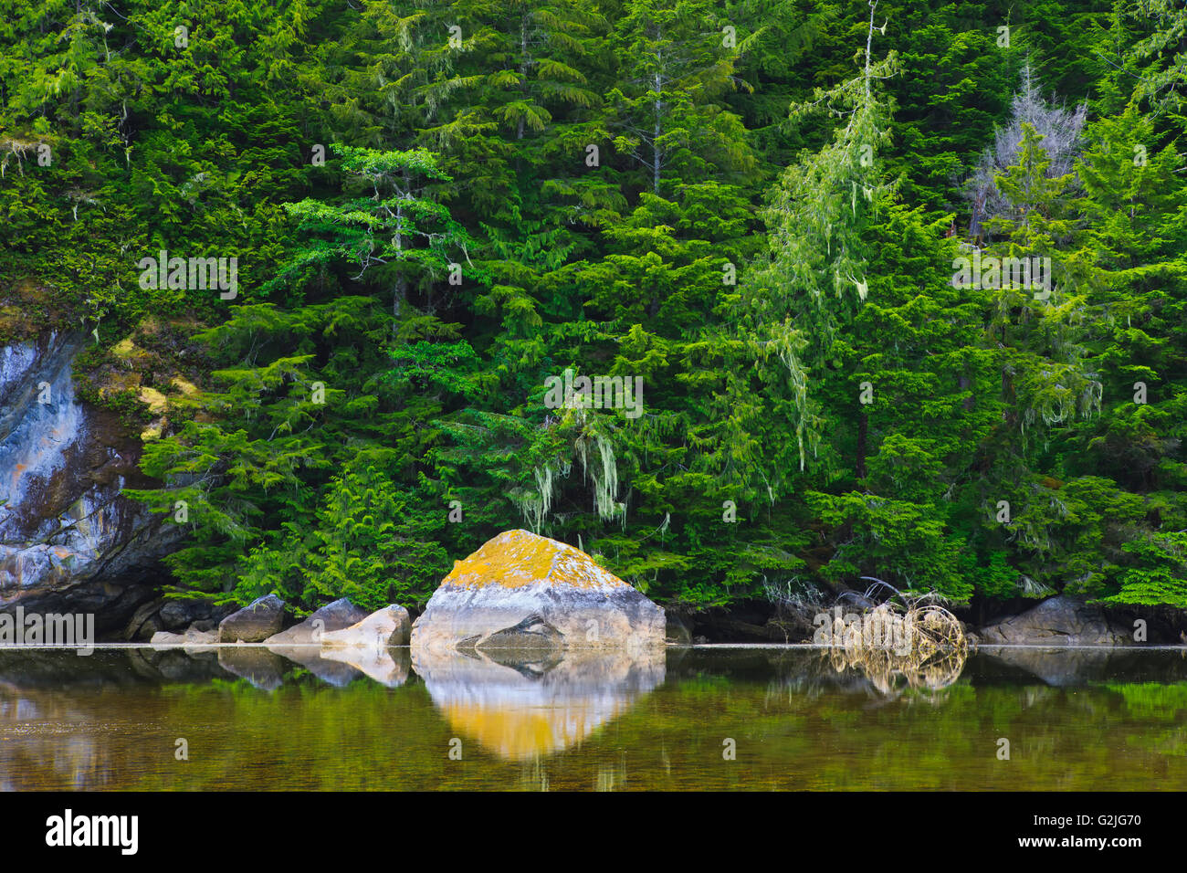 Shoreline along the Great Bear Rainforest in British Columbia, Canada Stock Photo