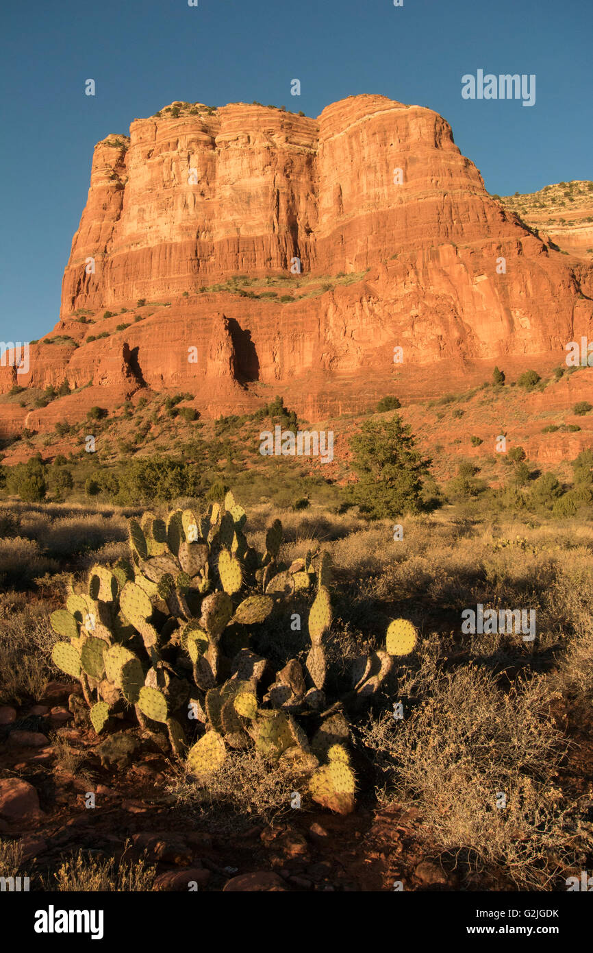 Scenic red rock formation known Courthouse Butte Rock A popular tourist destination in Coconino National Forest Sedona AZ Stock Photo