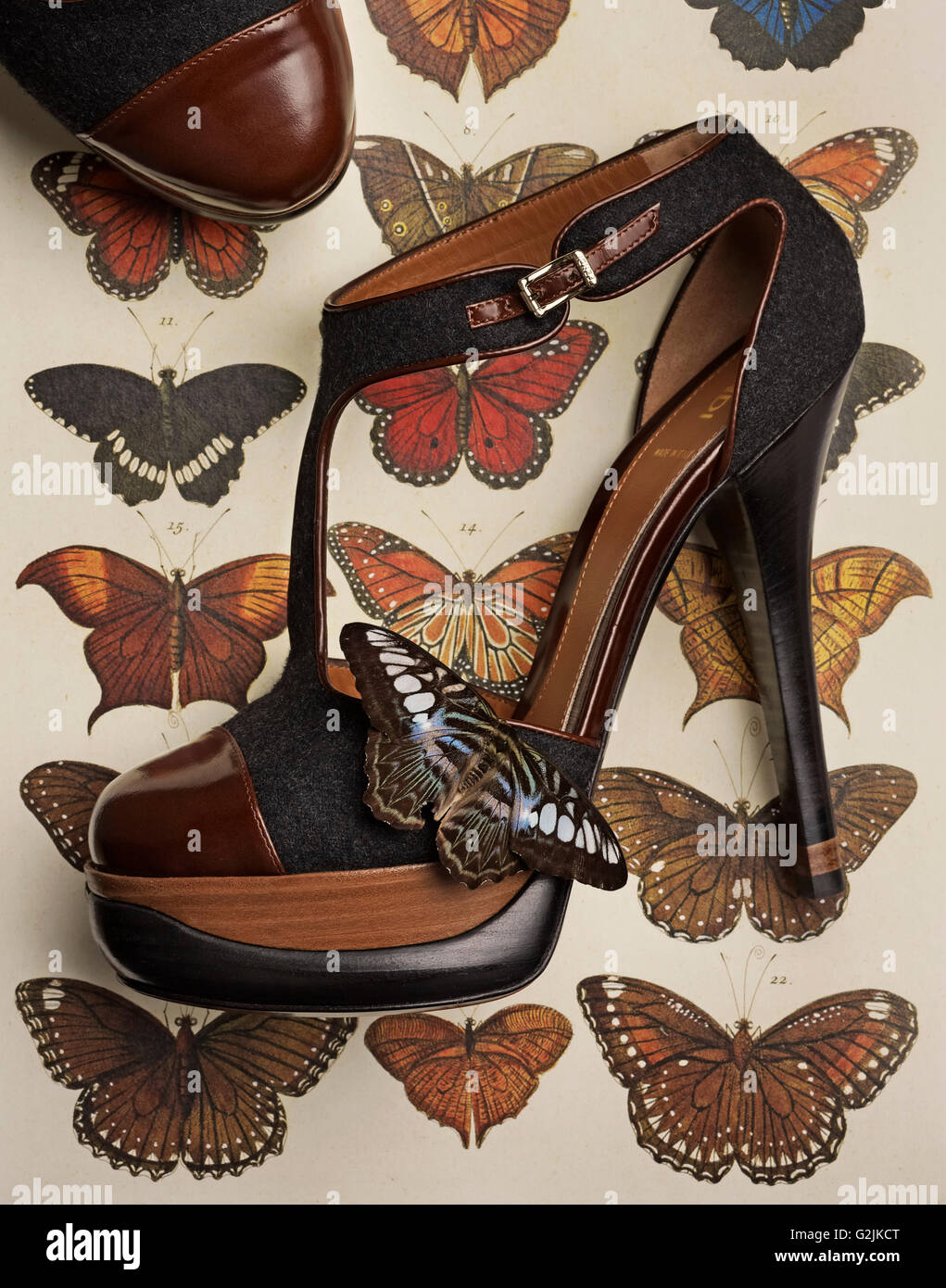 High Heel Shoe on Butterflies Stock Photo Alamy