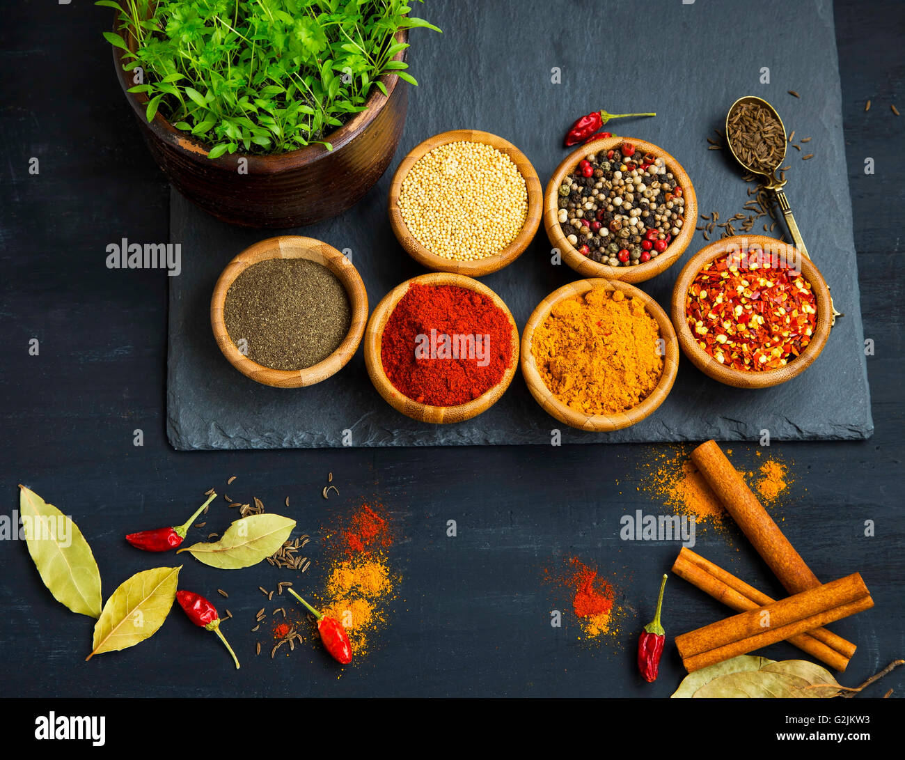 Spices powders and seeds with chili peppers and bay leaves Stock Photo