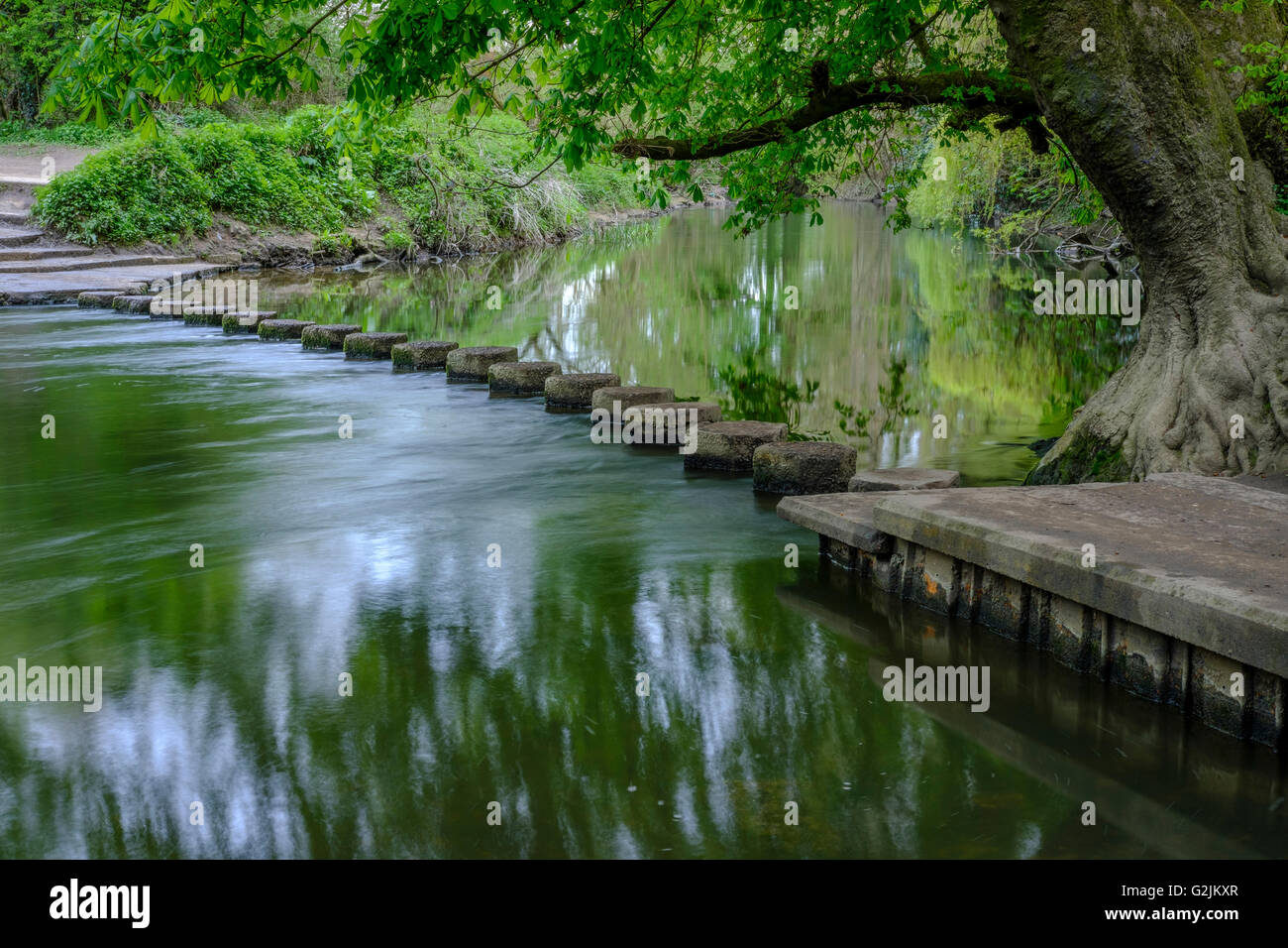 The Stepping Stones,Boxhill ,Surrey Stock Photo
