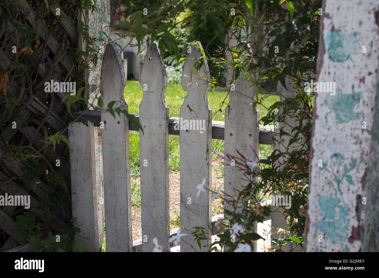 Old white picket fence entrance gate to garden Stock Photo