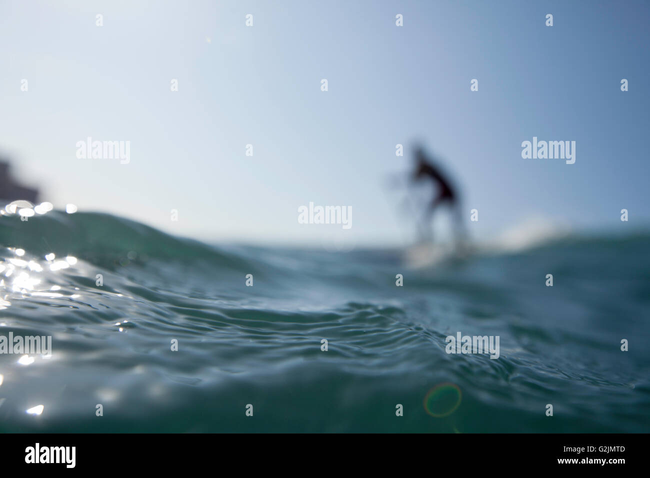 Davide Giardini stand up paddle boarding, surfing off of Diamond Head