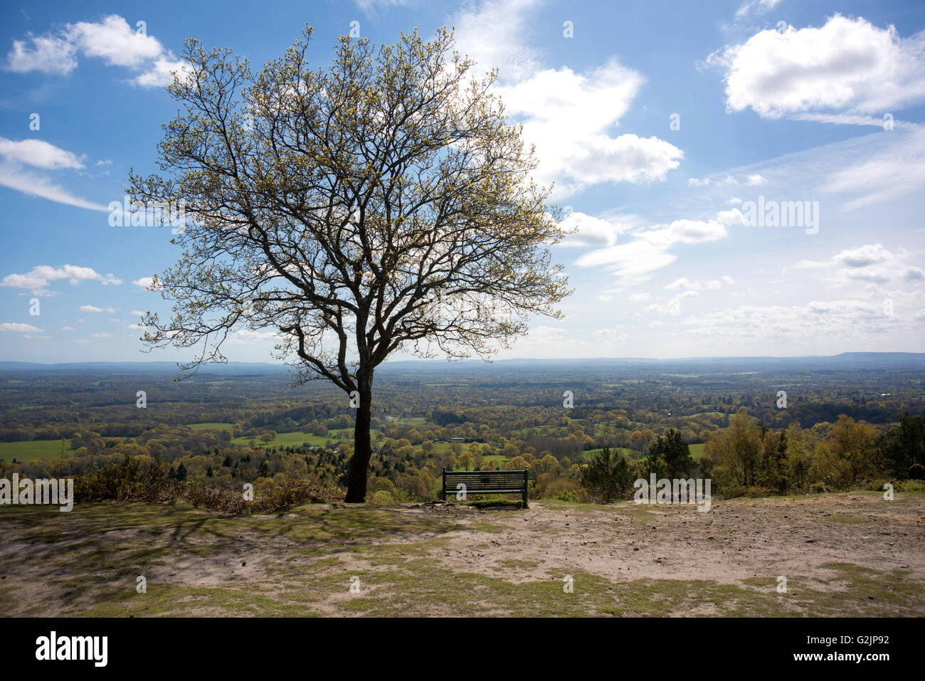 View over the North Downs from Hurtwood Forest at Peaslake, in Surrey Stock Photo