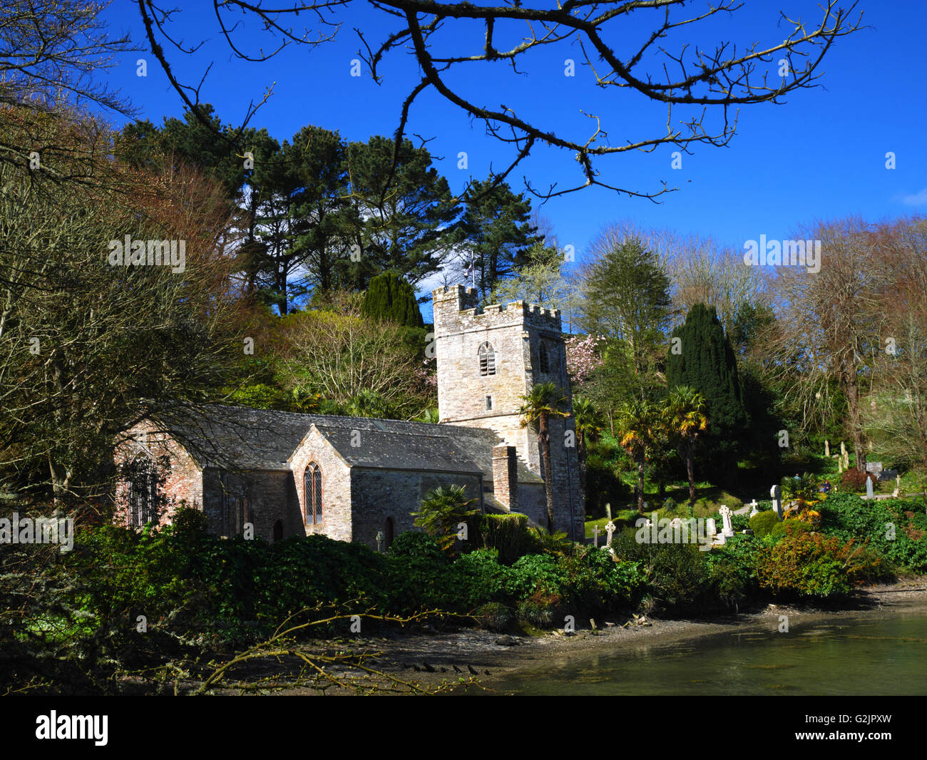 The church of St Just in Roseland, Cornwall stands on the bank of a creek of the Fal. Stock Photo
