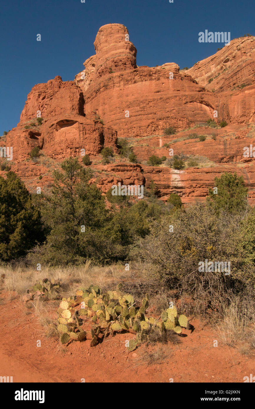 Scenic red rock formation along Courthouse Butte Rock Trail Coconino National Forest Sedona Arizona North America Geologically- Stock Photo