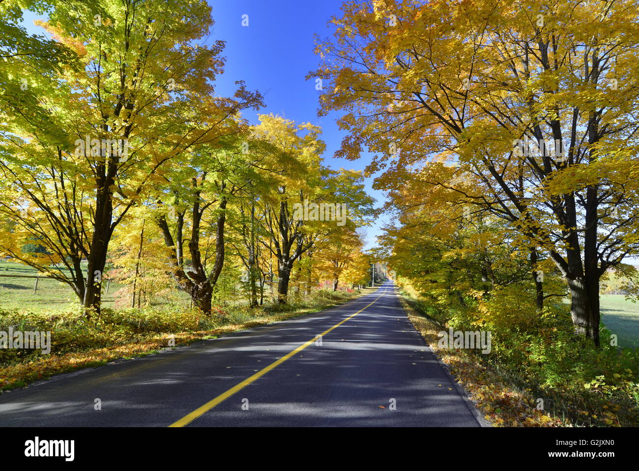 Autumn color near Coldwater, Ont., Canada Stock Photo