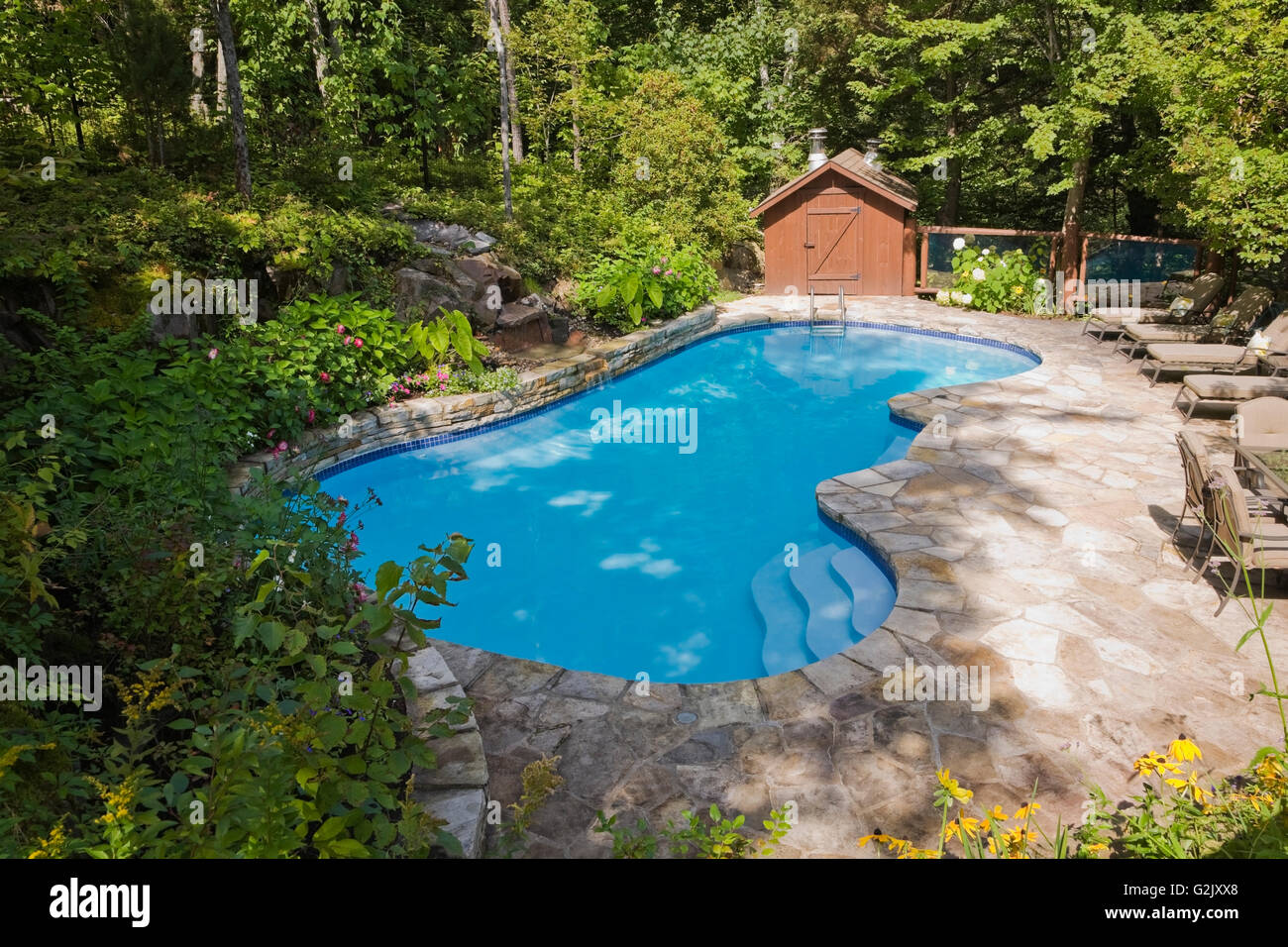 Inground swimming pool waterfall flagstone decking in landscaped backyard in summer Quebec Canada This image property released Stock Photo