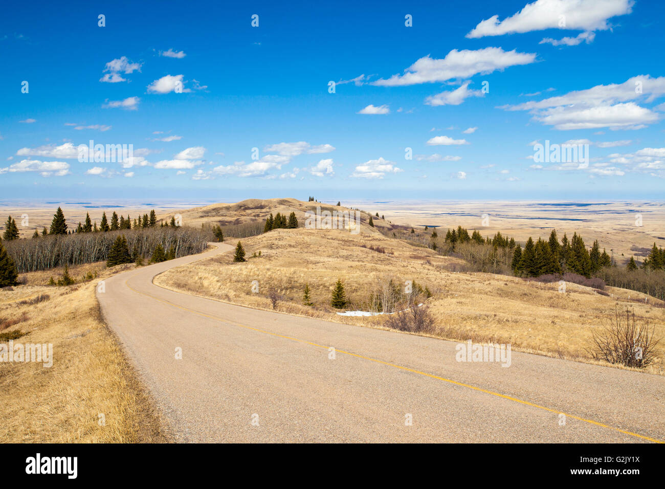 A road in Cypress Hills Provincial Park, Alberta, Canada Stock Photo