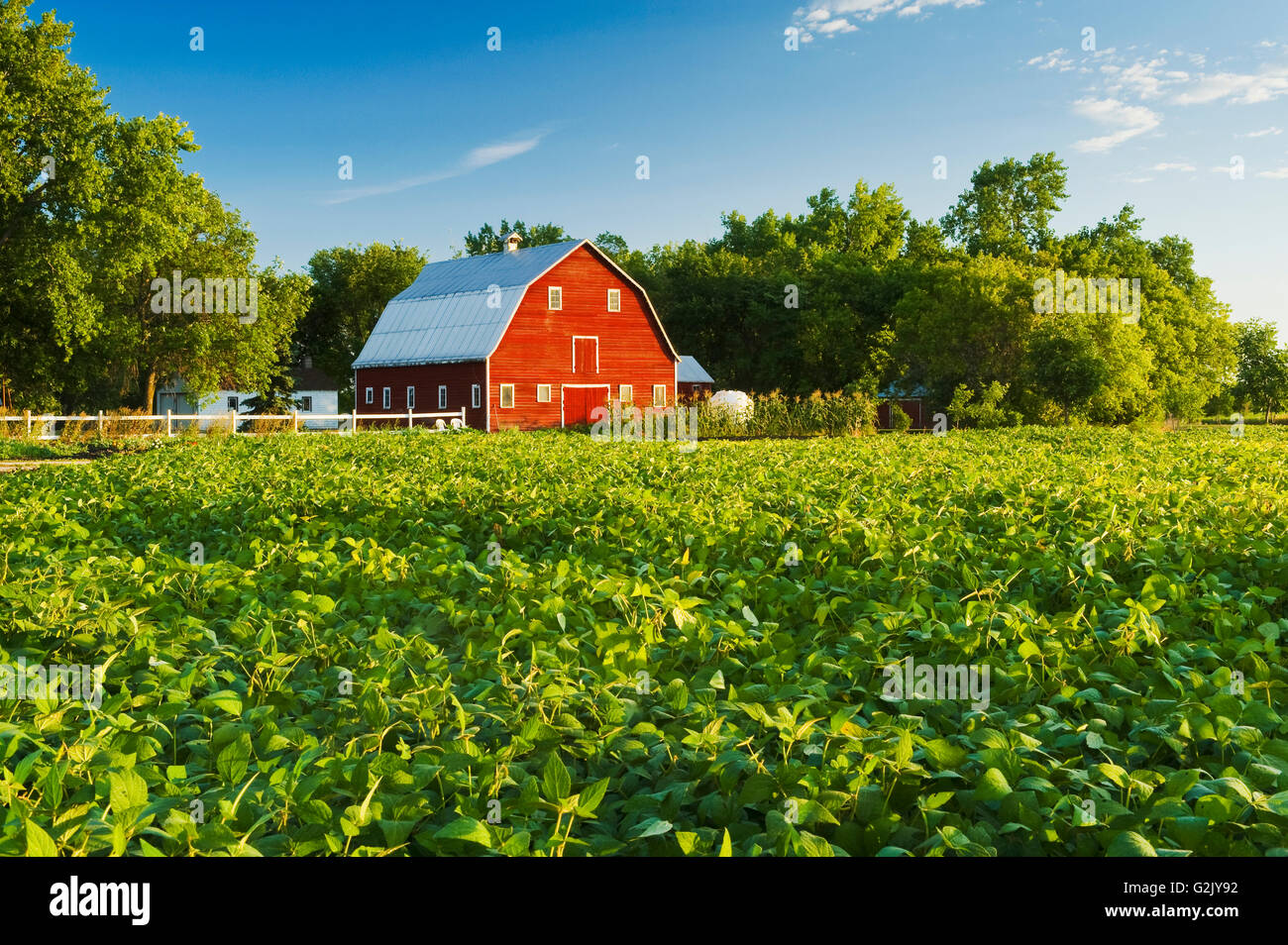 Classic red barn hires stock photography and images Alamy