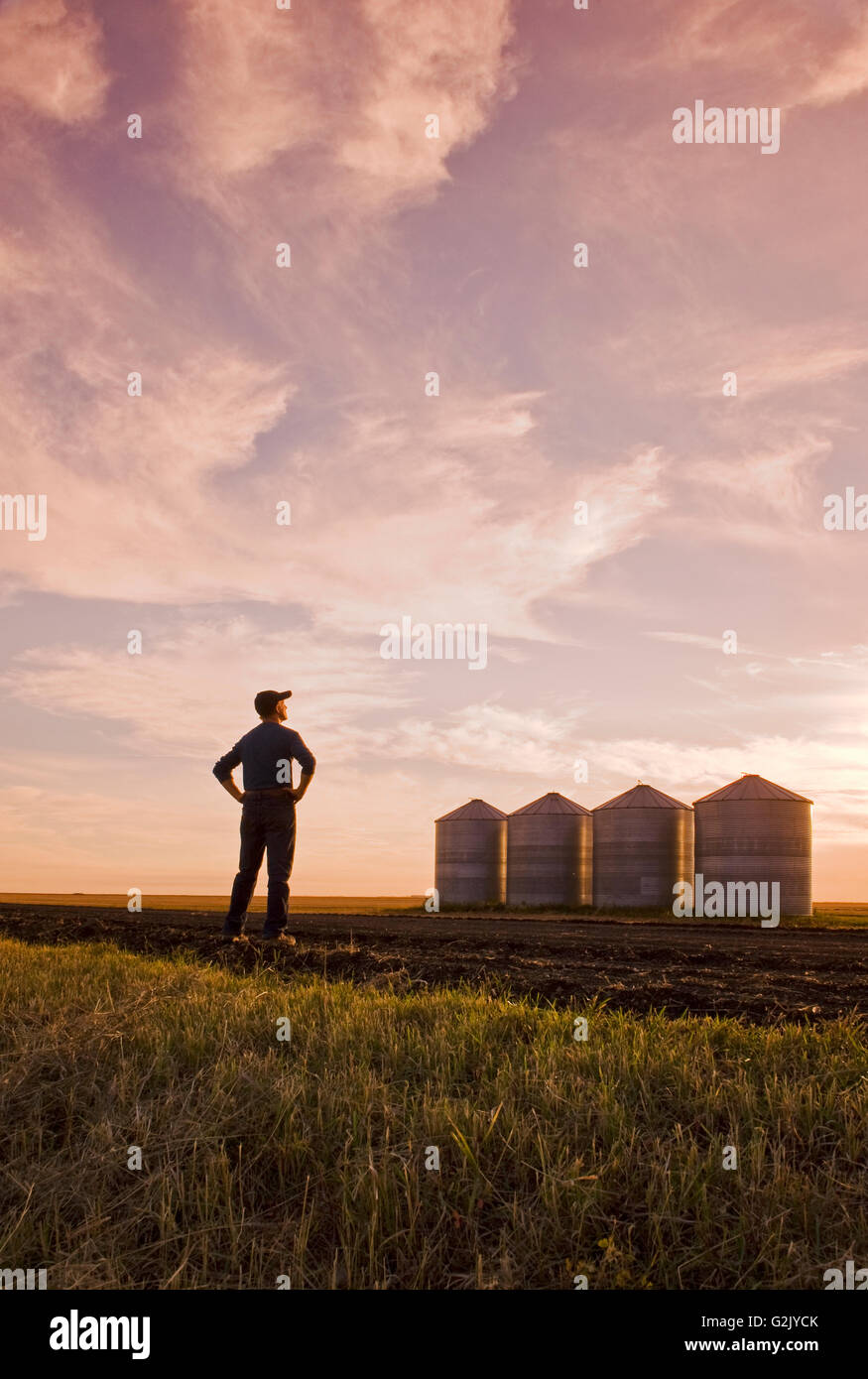 a farmer looks out over grain storage bins/silos at sunset,near Carey, Manitoba, Canada Stock a farmer looks out over grain storage bins/silos at sunset,near Carey, Manitoba, Canada Stock