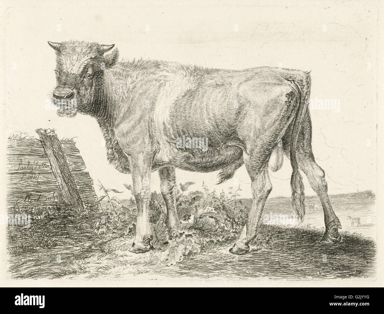 Taurus, Johannes Mock, 1824 Stock Photo