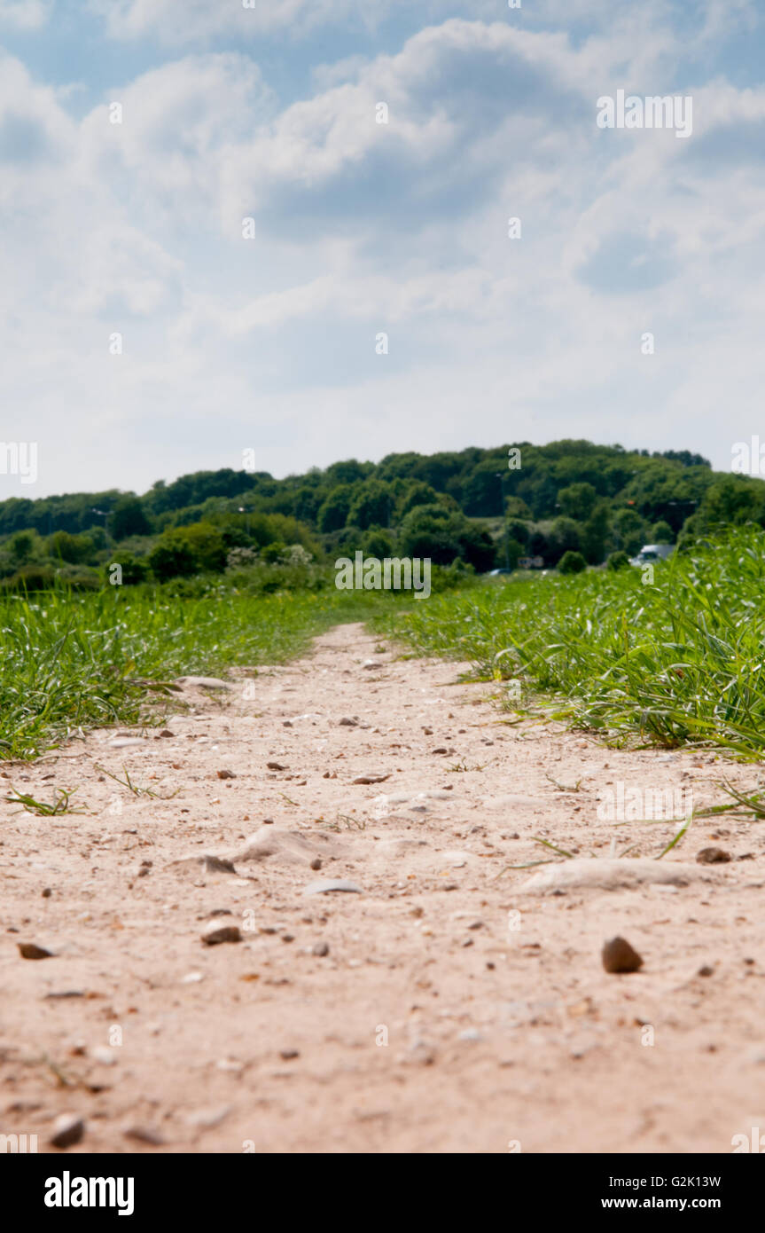 Low angle view of a country footpath through a field Stock Photo