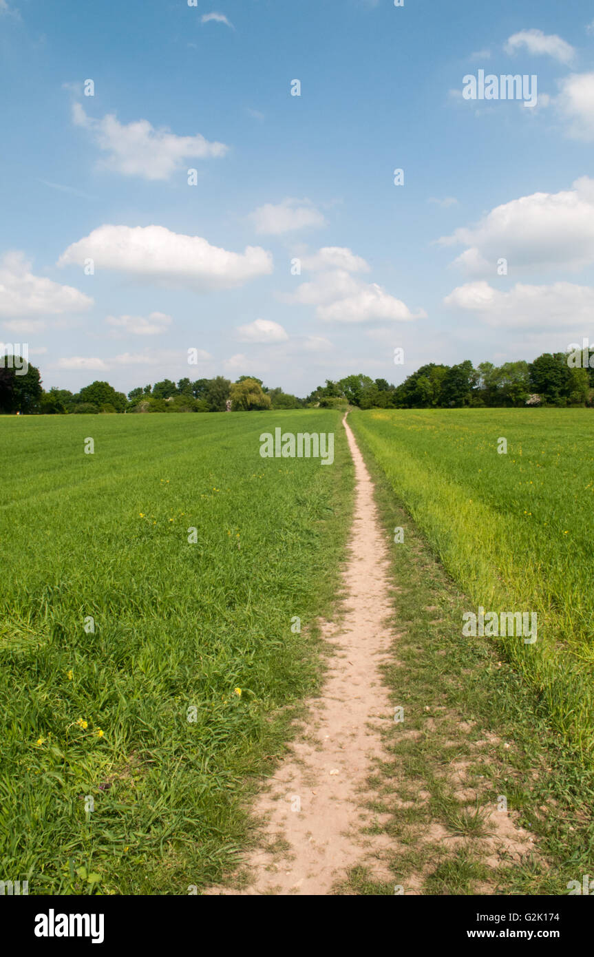 wide angle view of a country footpath through a field Stock Photo