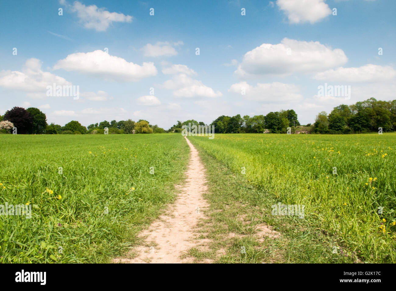 Low angle view of a country footpath through a field Stock Photo