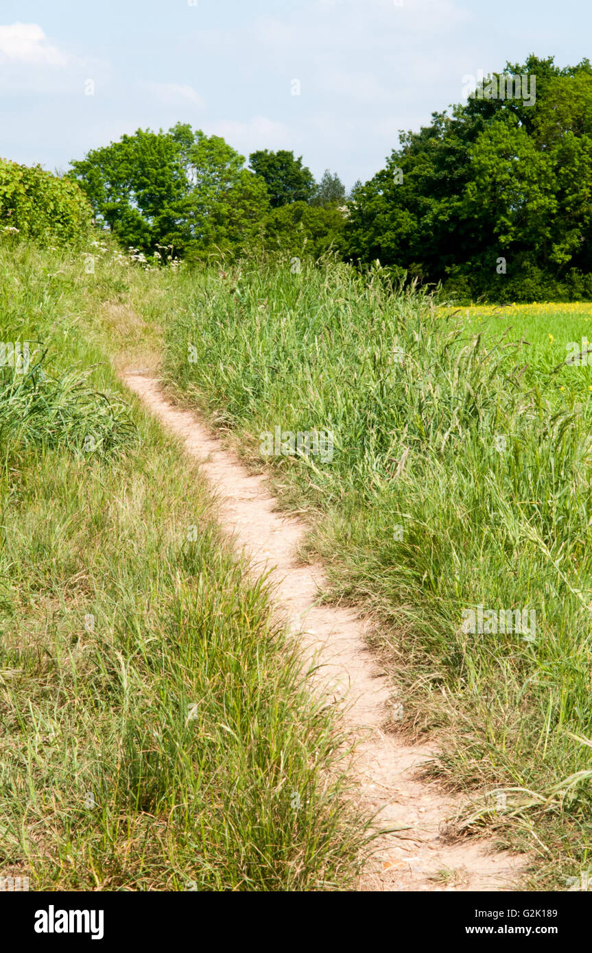 wide angle view of a country footpath through a field Stock Photo