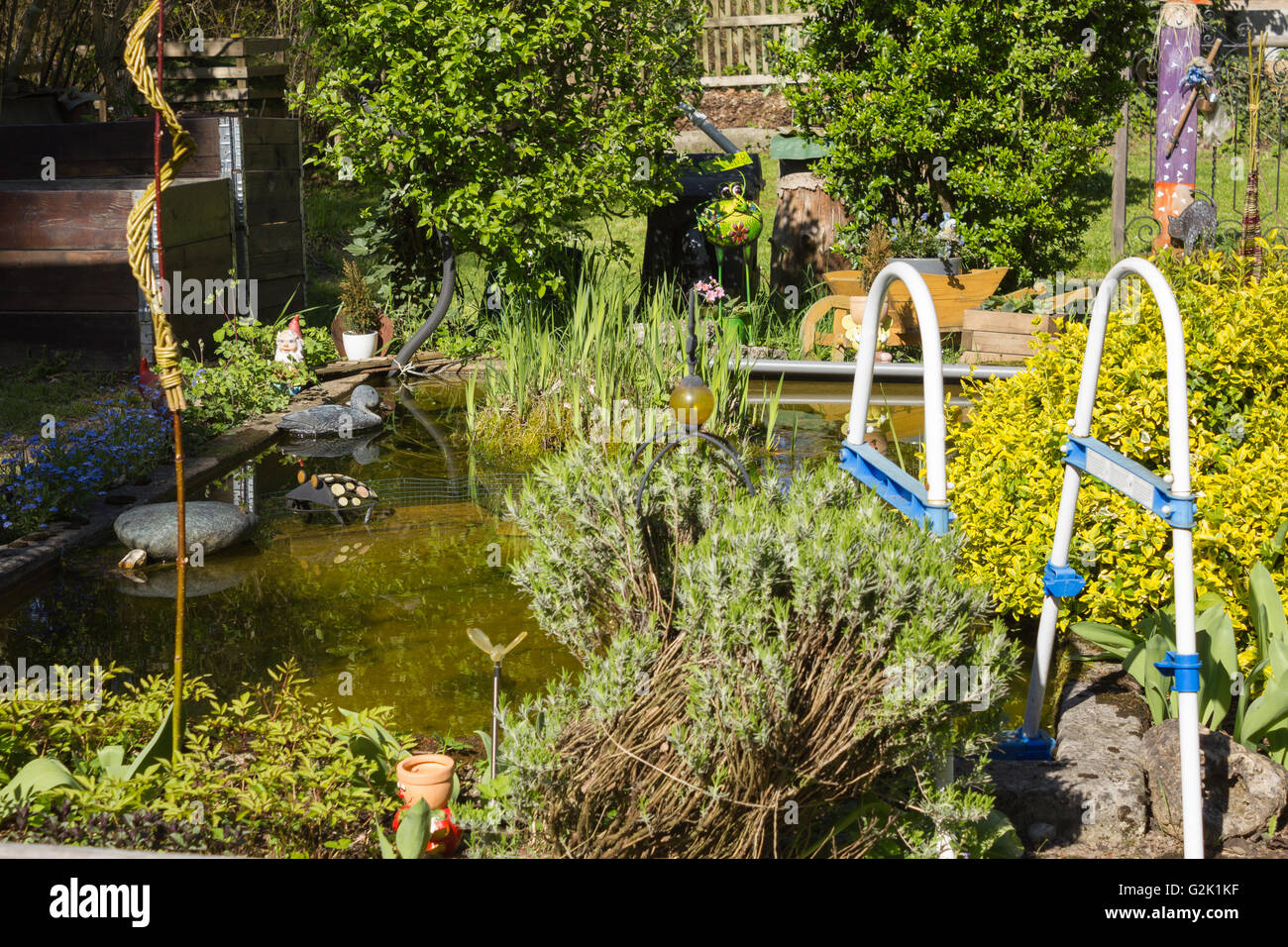 Gartenteich, Garden pond Stock Photo