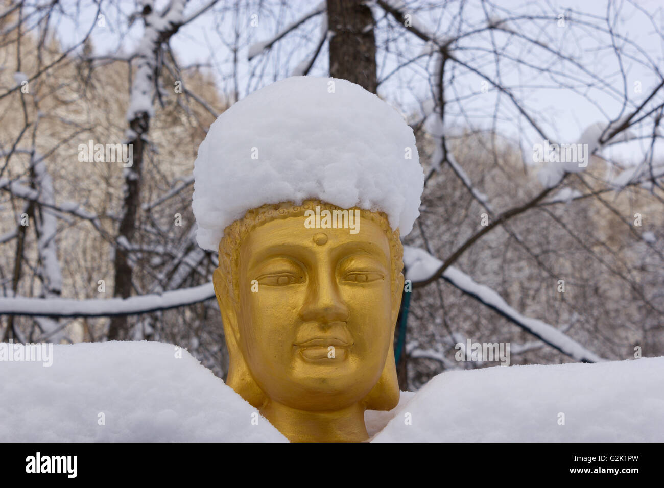 Zen frozen ice snow tree hi-res stock photography and images - Alamy