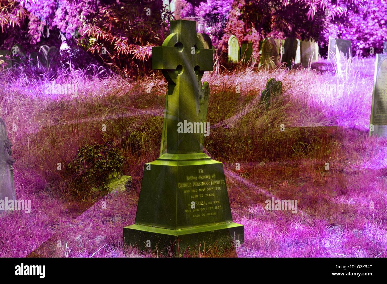 Purple Headstones High Resolution Stock Photography and Images - Alamy