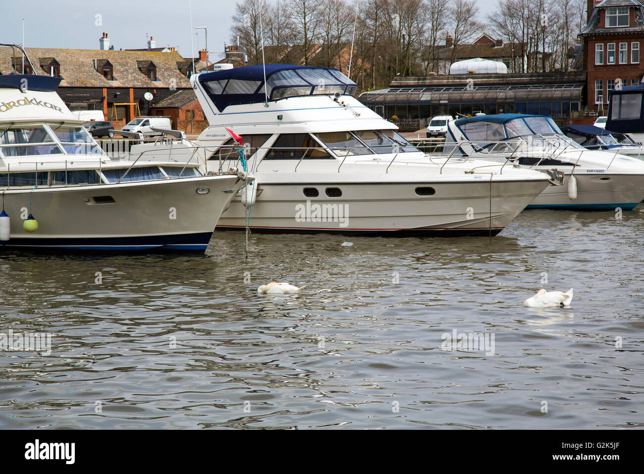 boats on norfolk broads Stock Photo Alamy