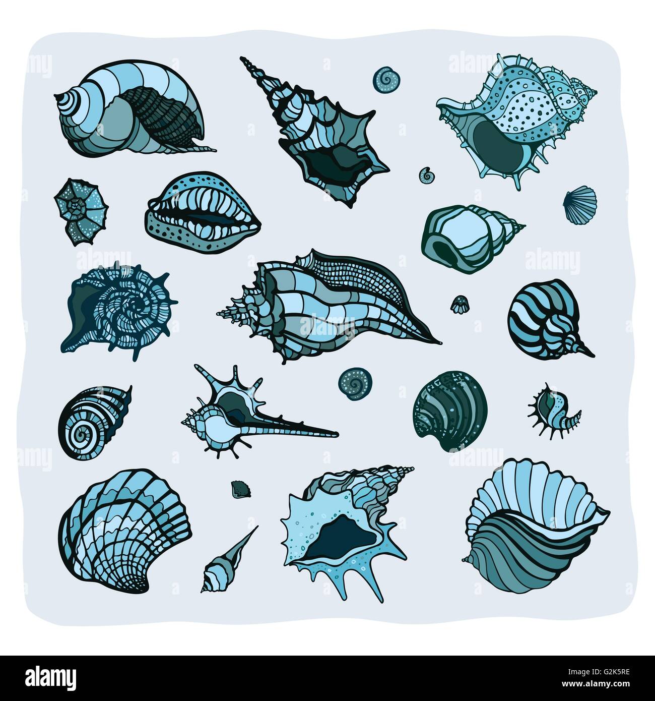 Collection of seashells Stock Vector Image & Art - Alamy